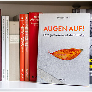 487 Bücherregal mit Fotobüchern