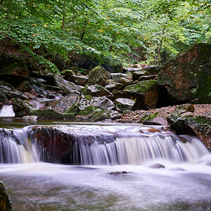 _DSC6381.jpg