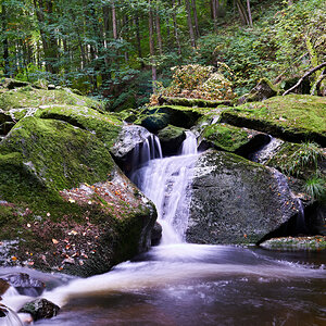 _DSC6393 1.jpg