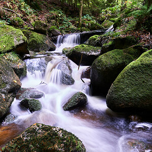 _DSC6397 1.jpg