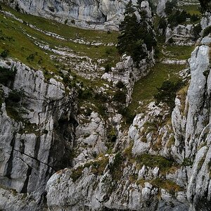 DSC_3464.JPG