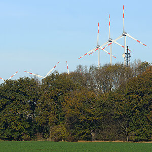 OF2_60434.jpg