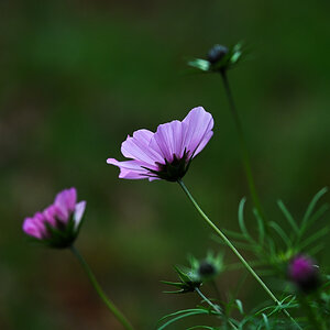 DSC_5897.jpg