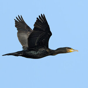 OF5_25947.jpg