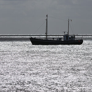 DSC_3912.JPG