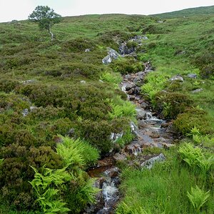 Bachlauf in den Highlands.jpg