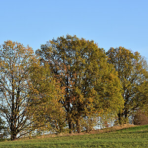 DSC_5439.JPG