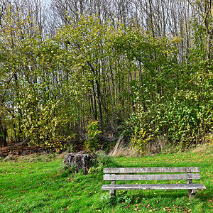 Z7R_5116.JPG