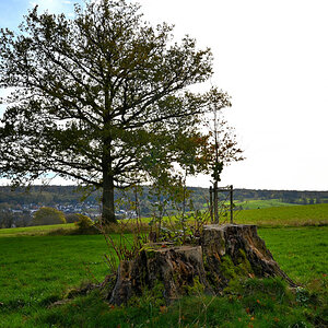 Z7R_5123.JPG