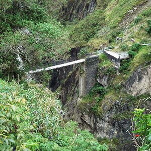 DSC_6743.JPG