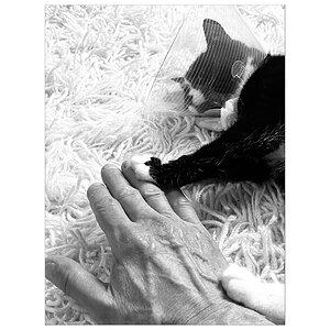BusiIMG_4538.jpg