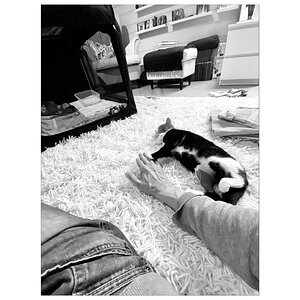 BusiIMG_4540.jpg