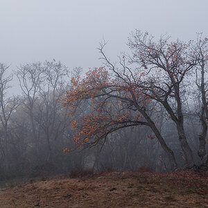 Herbststimmung