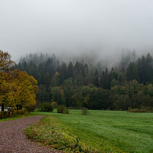 20221113-NZ6_3596.jpg