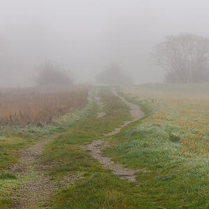 OF2_60675.jpg
