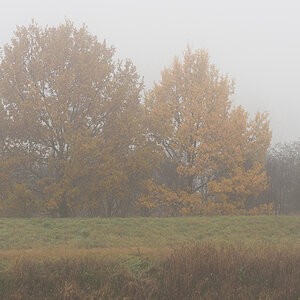 OF2_60682.jpg