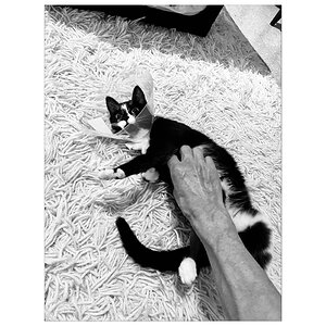 BusiIMG_4548.jpg