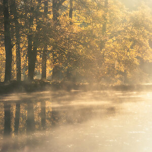 A Pond in Morning Mist