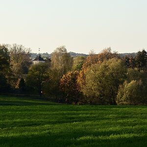 DSC_5422.JPG