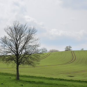 DSC_7756.JPG