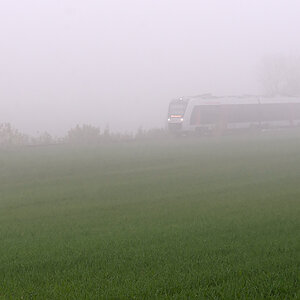 OF2_60482.jpg