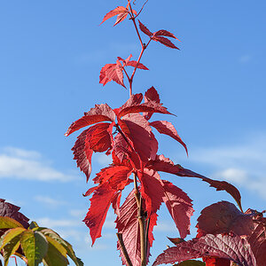 OF2_60394.jpg