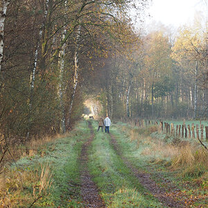 Sonntagsspaziergang.jpg