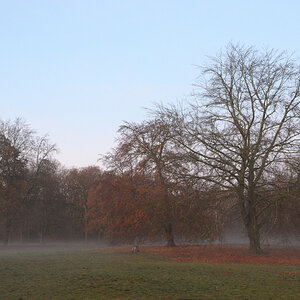 DSC_1068.JPG