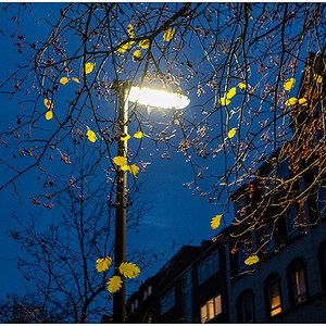 518 Abendspaziergang mit Straßenlaterne