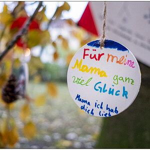 530 Wunschbuche im Kieler Schrevenpark – Für Mama