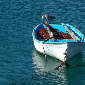 Boot mit Reiher Morro Jable.jpg