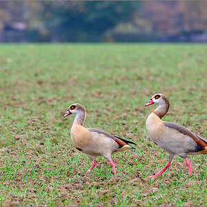 DZ7_1253-Bearbeitet.jpg