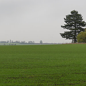 OF2_60941.jpg