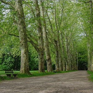 DSC_0177.jpg