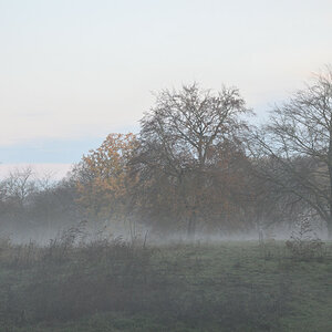 DSC_1087.JPG
