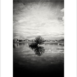 20181224-L1020032-Bearbeitet.JPG