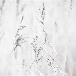 L1019756-Bearbeitet.JPG