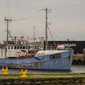 TZ_ZIM_2852_A.jpg