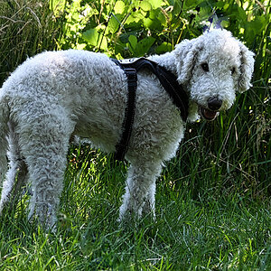 DSC_4191_layer_copy.jpg