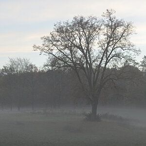 DSC_1092.JPG