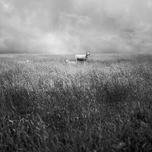 DSC_0693_1.jpg