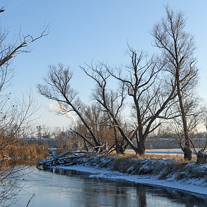 OF2_61050.jpg