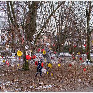 534 Schrevenpark Wunschbaum I