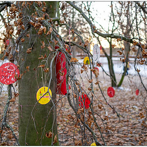 535 Schrevenpark Wunschbaum II