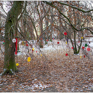 536 Schrevenpark Wunschbaum III