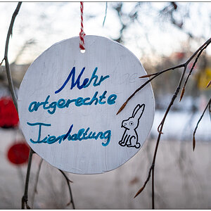 539 Schrevenpark Wunschbaum VI