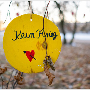 544 Schrevenpark Wunschbaum XI