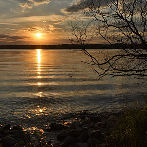 DSC_4877.JPG