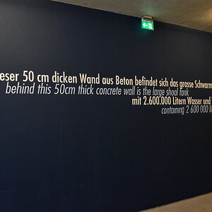 FA1_3615a.jpg