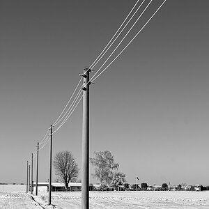 OF2_61102sw.jpg